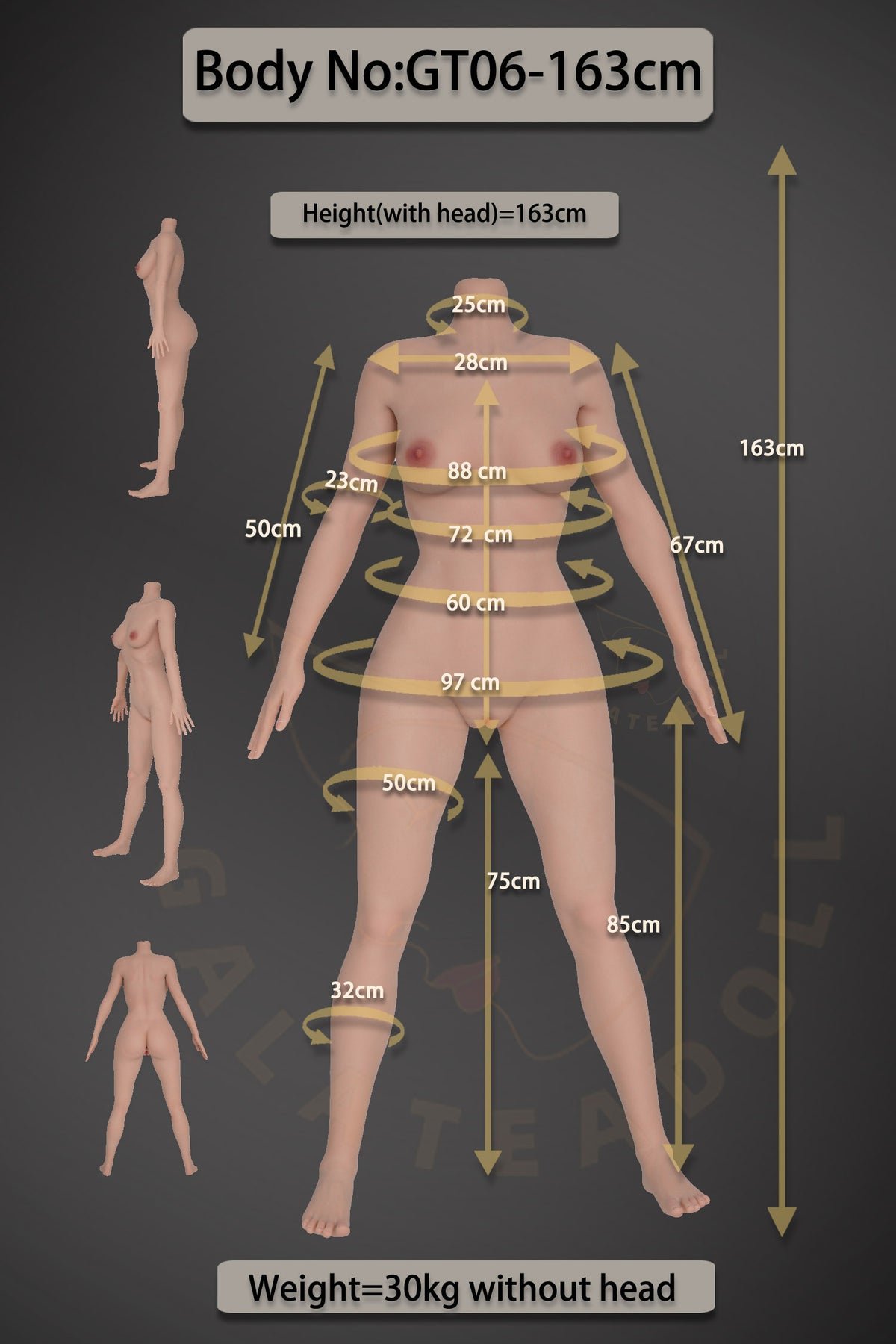 Sex Doll Samira (Galatea Doll 163cm D-Cup #198 silikon)