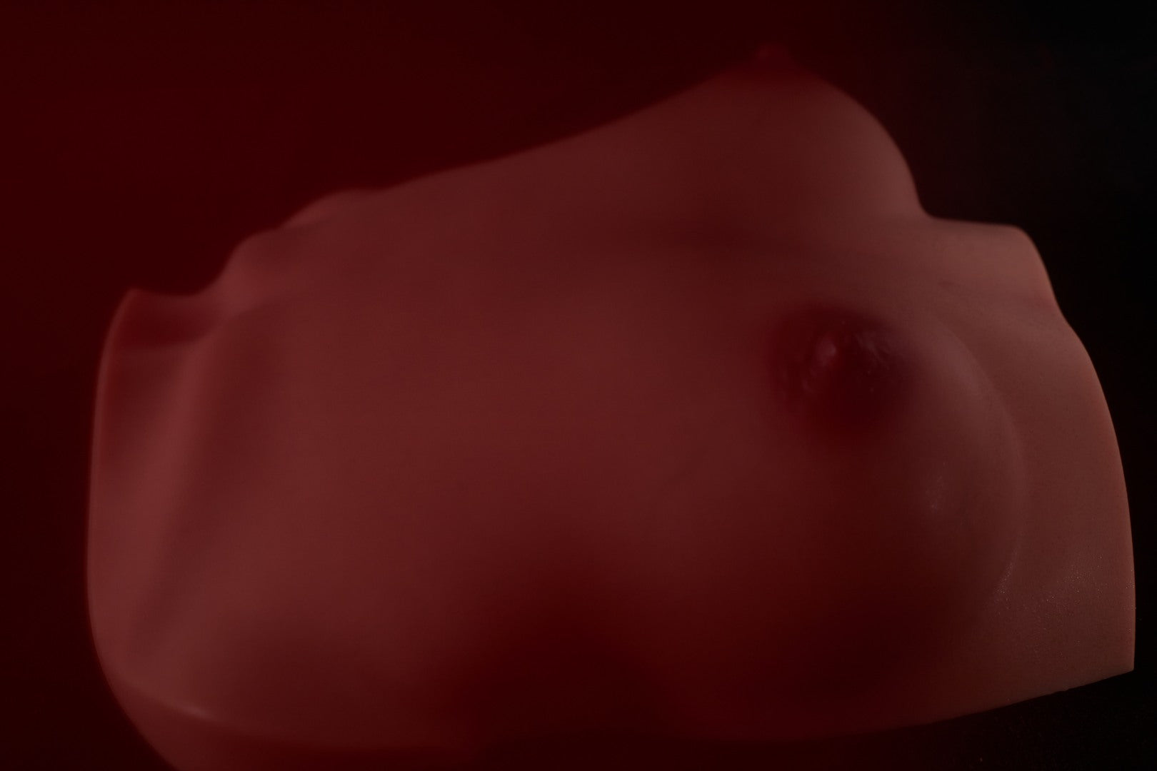 Prsa (S) sexuální panenka trupu (Climax Doll Pro B-C-Cup Silikon)