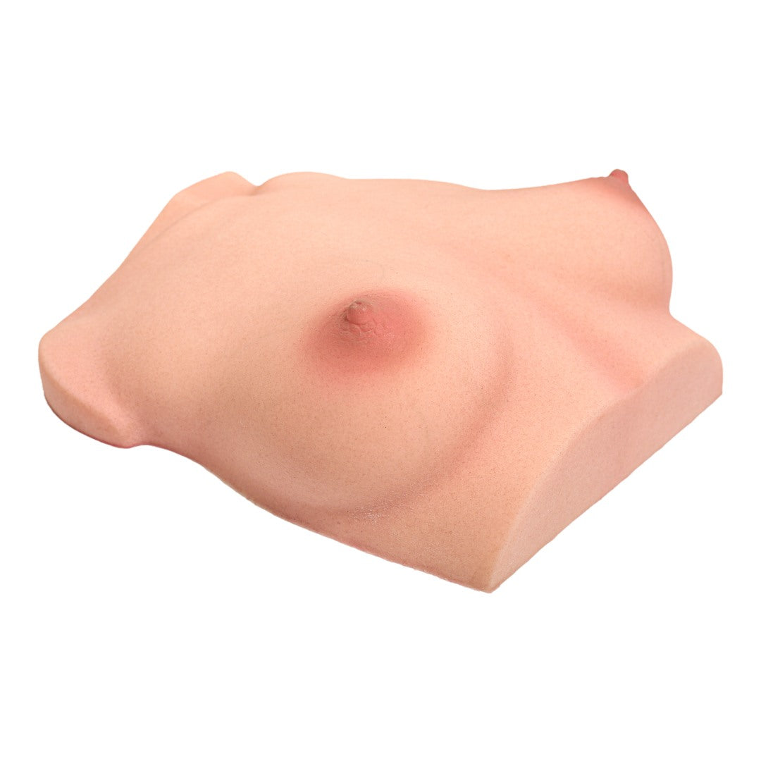 Chest (S) Torso Sex doll (Climax Doll Pro B-cup silicone)
