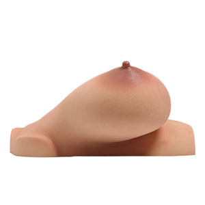 Breasts (XL) torso Sex doll (Climax Doll Procup silicone)
