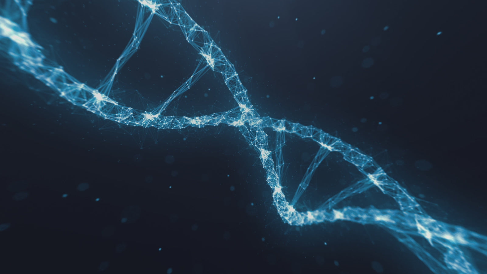 YOYO Sex Doll (XT Doll 150cm D-Cup #XT-byx4-A silikon)