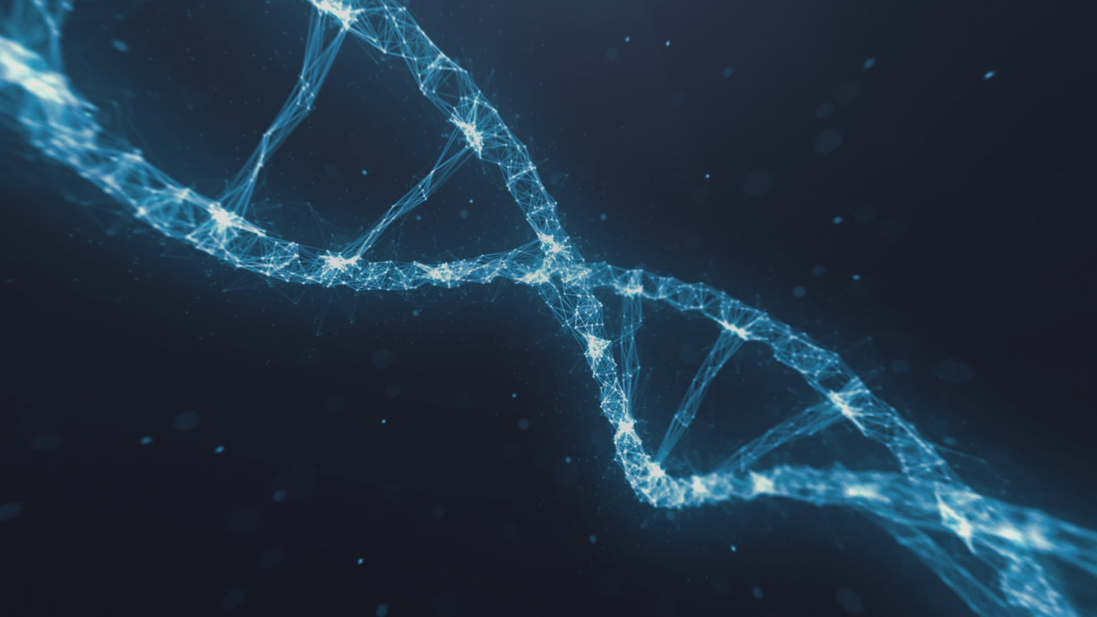 Sex Doll Natalie (XT Doll 160cm H-Cup #XT-31 silikon)