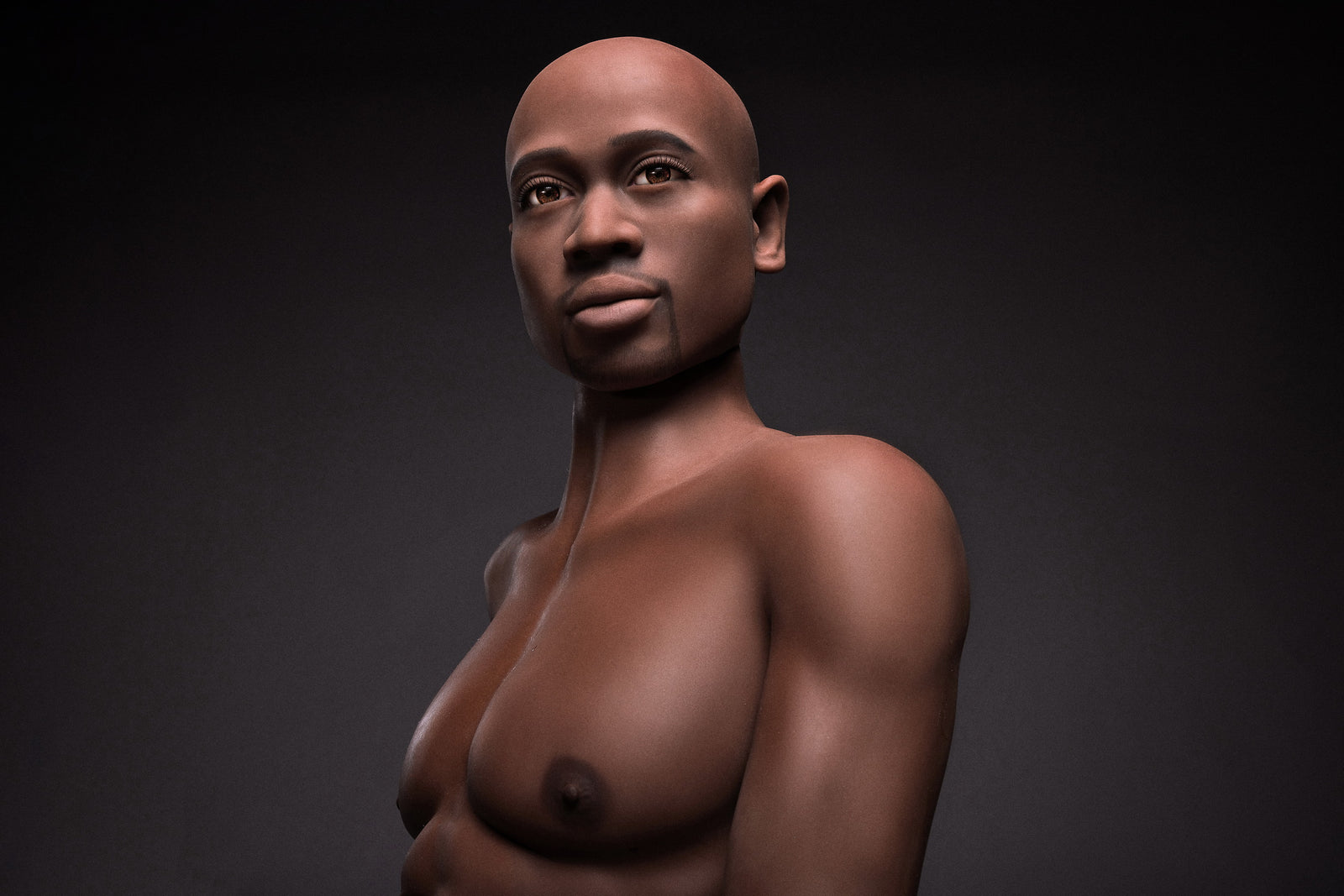 James's Male Sex Doll (Irontech Doll 175cm #205 TPE)